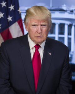 President Donald Trump Picture